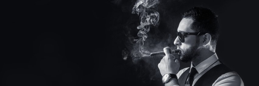 camilamusa's profile banner image
