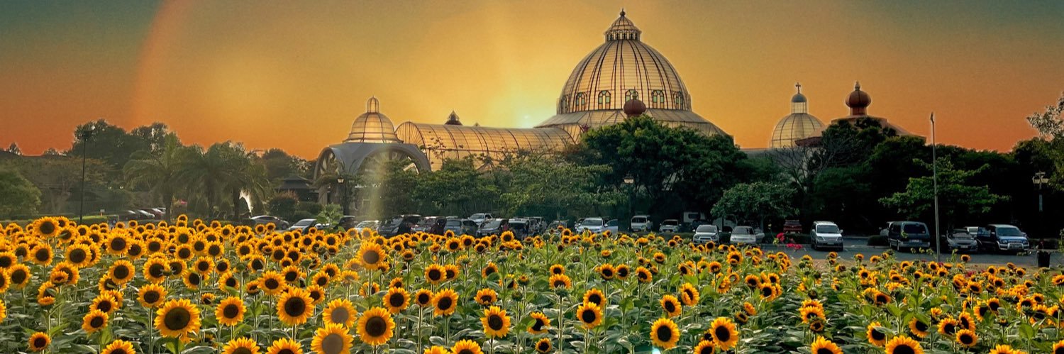 AppleCGallineto's profile banner image