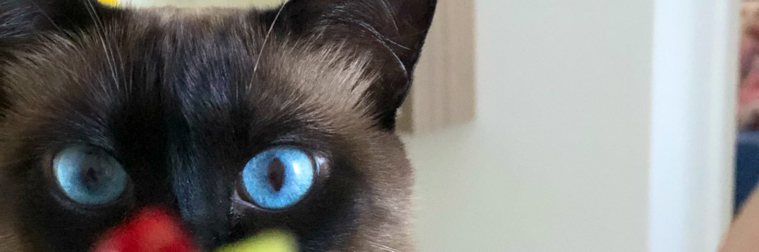 naathaliac's profile banner image