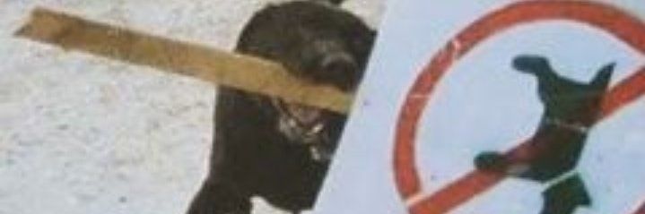 jelyssonn's profile banner image