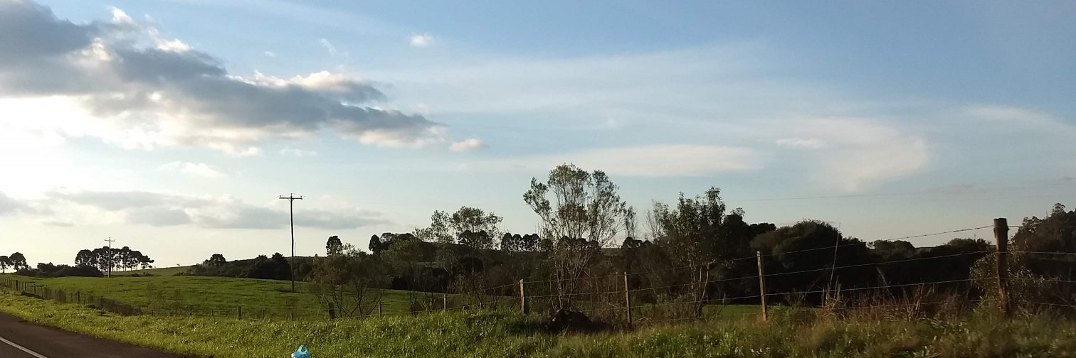 dfbelotto's profile banner image