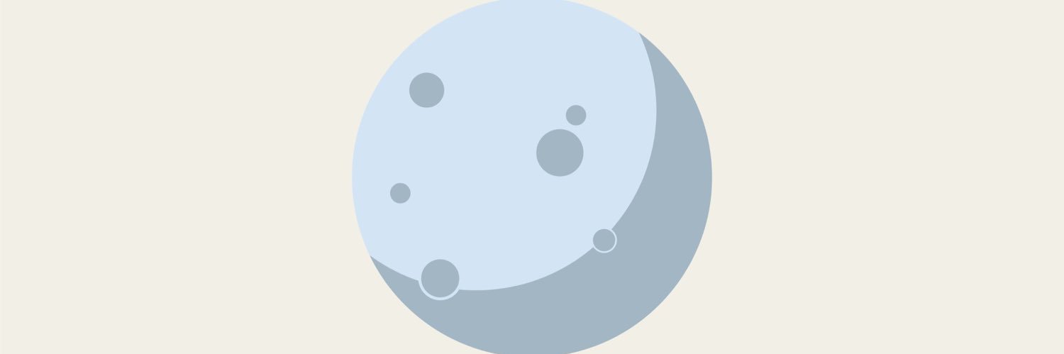 lbflowerz's profile banner image