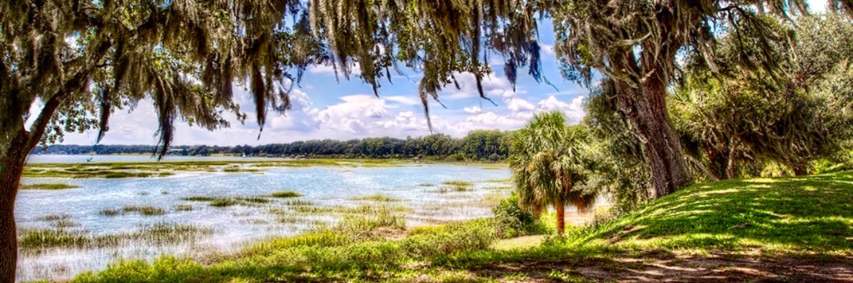 🍃Tilleul🕯 banner