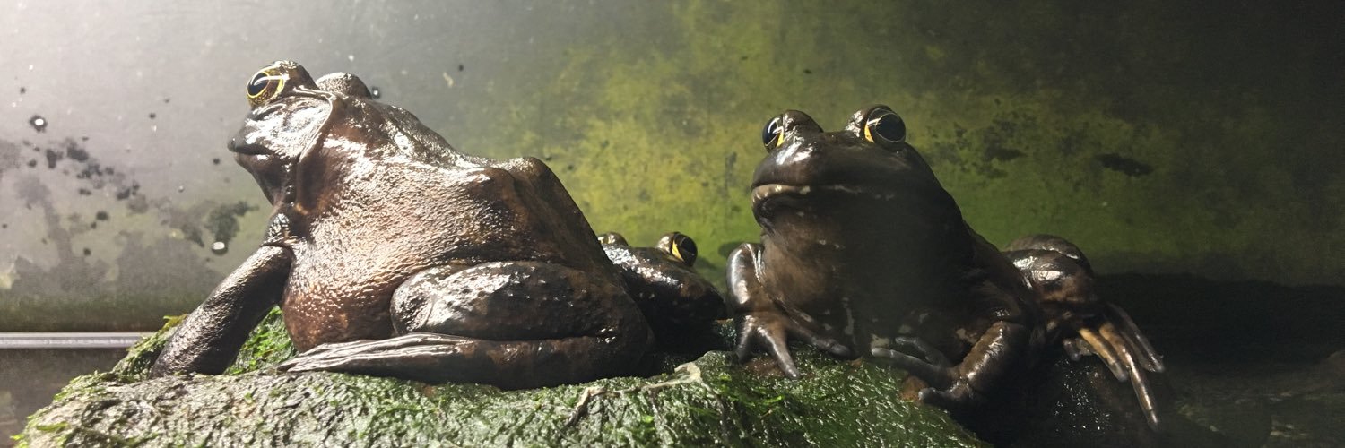 missjenguin's profile banner image