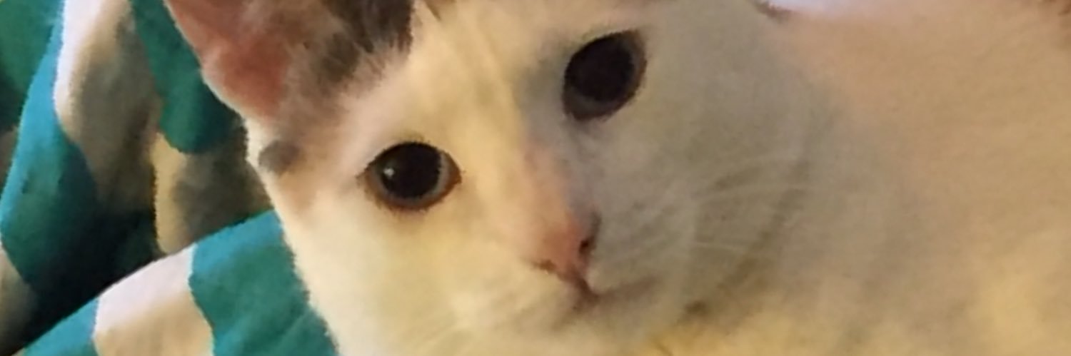 WardisaTwit's profile banner image