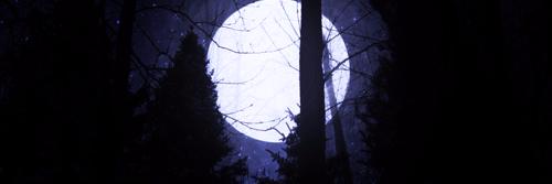 markericelton's profile banner image