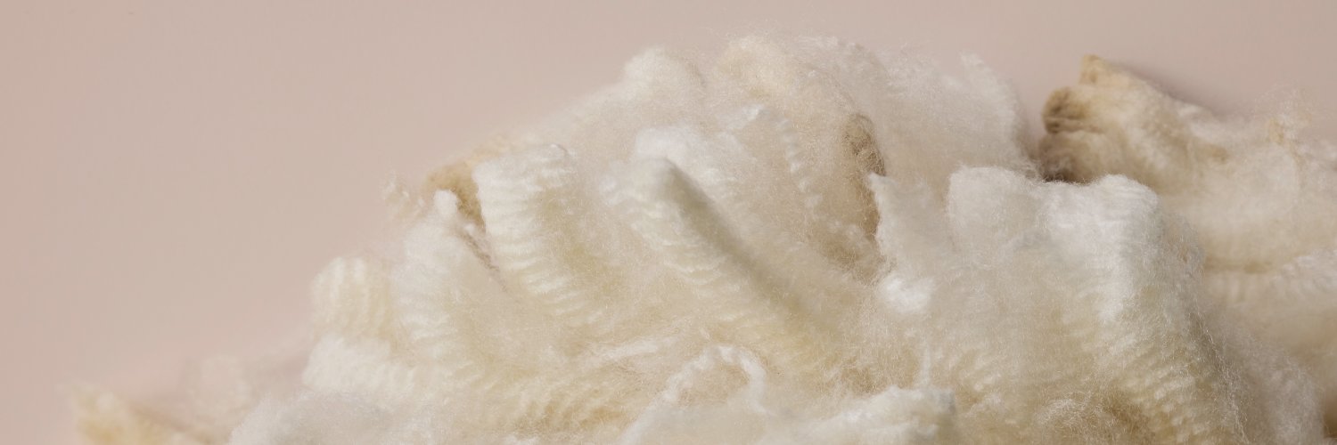 ZenteraWool's profile banner image