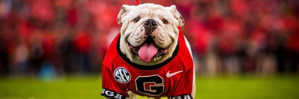 amyweick's profile banner image
