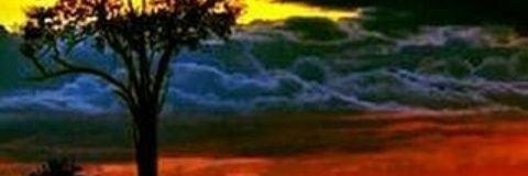rivasmiguel's profile banner image