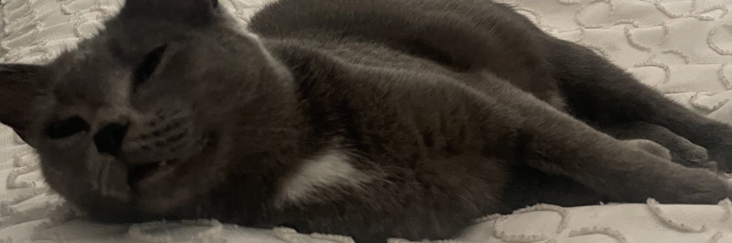 tonialexandra_'s profile banner image