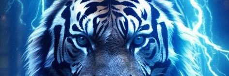 lordtygr banner