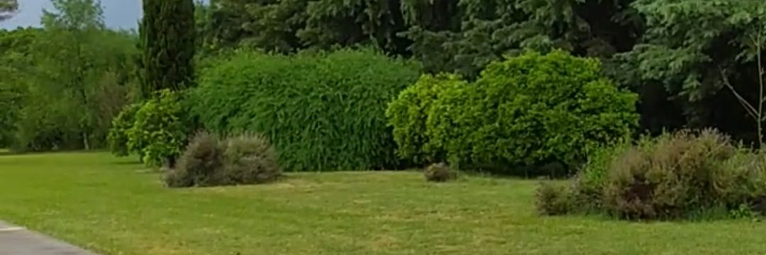 Angel Martínez banner