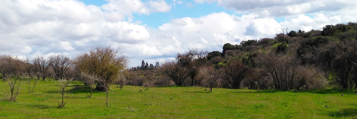 willjoDH's profile banner image