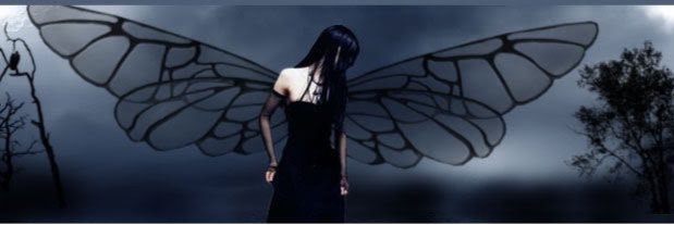 transconachick's profile banner image