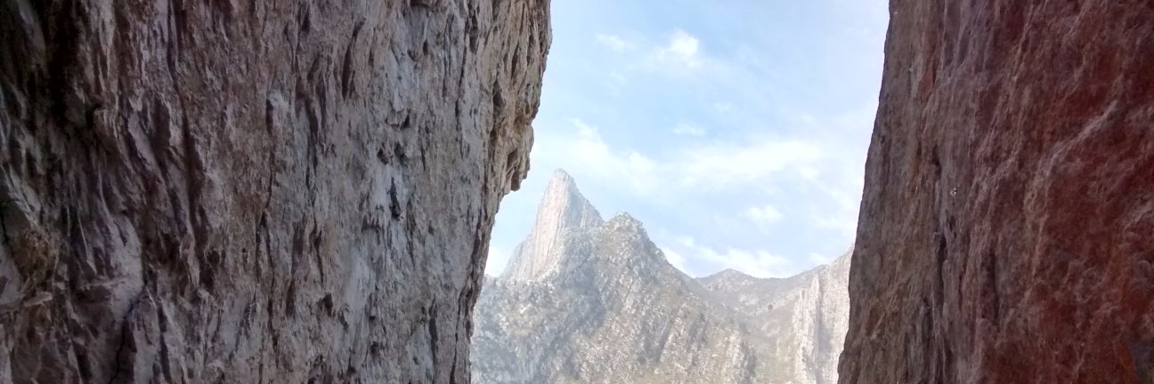 spookriz 👻 banner