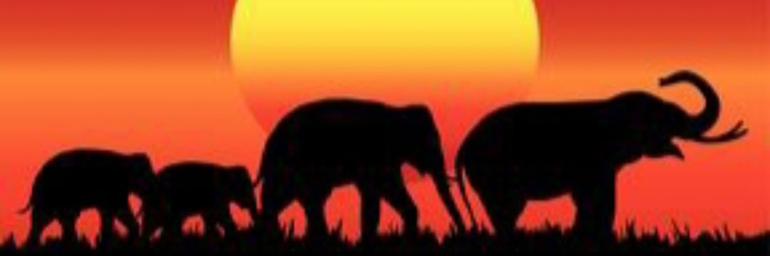 Cgarridom2's profile banner image