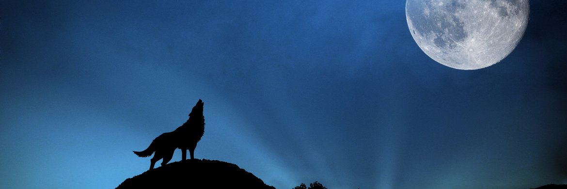 Mati Trejo banner