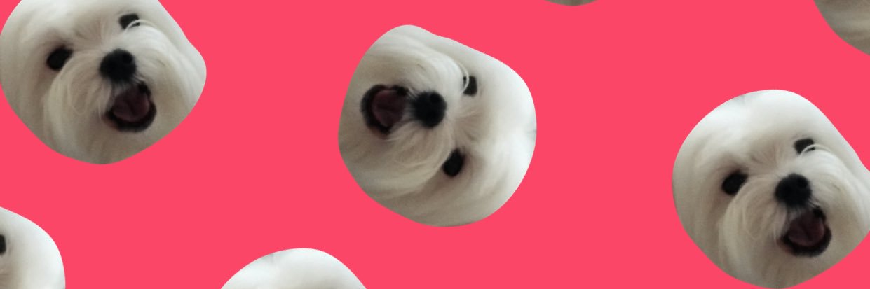 he_lly_'s profile banner image