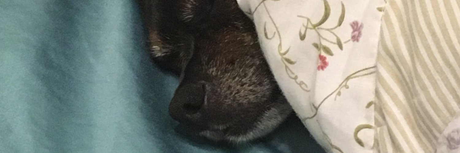 bdisimone's profile banner image