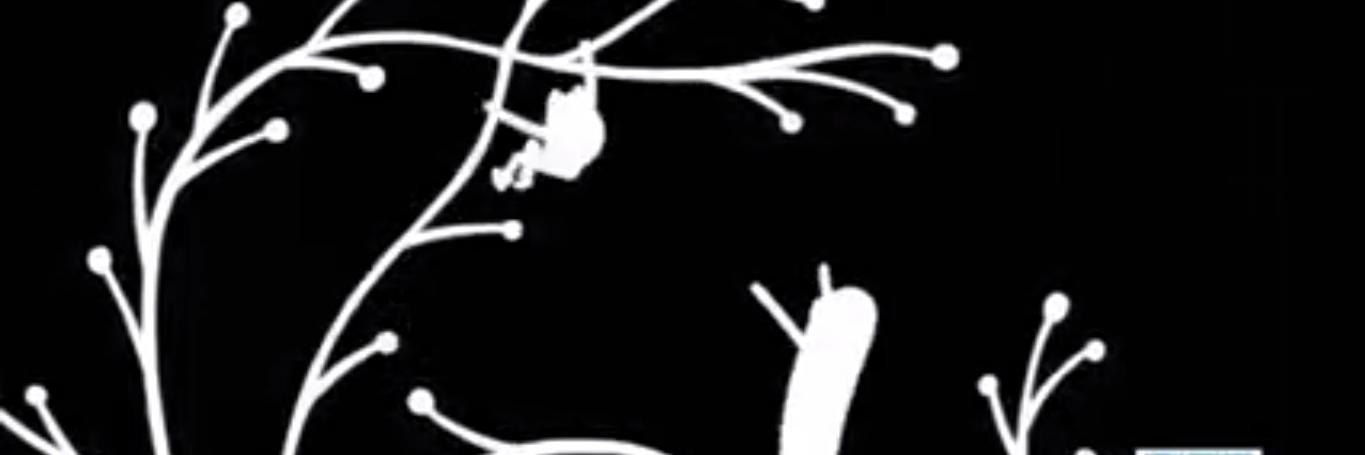 Jackovelis's profile banner image
