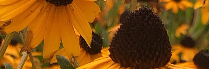 Ayee_Smitty's profile banner image