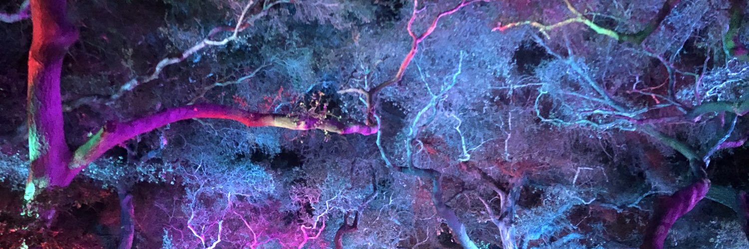 juanmferron's profile banner image