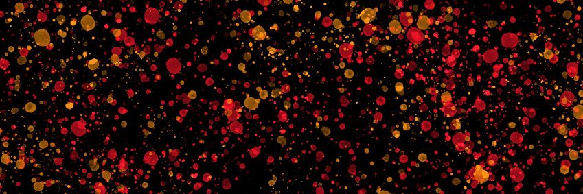 oni bro 😈🏳️‍🌈🇺🇸 banner