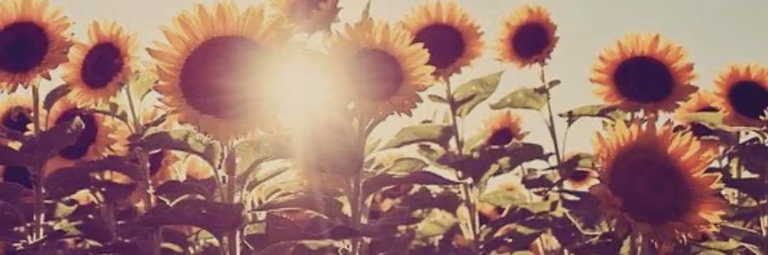 payjaybaybay's profile banner image