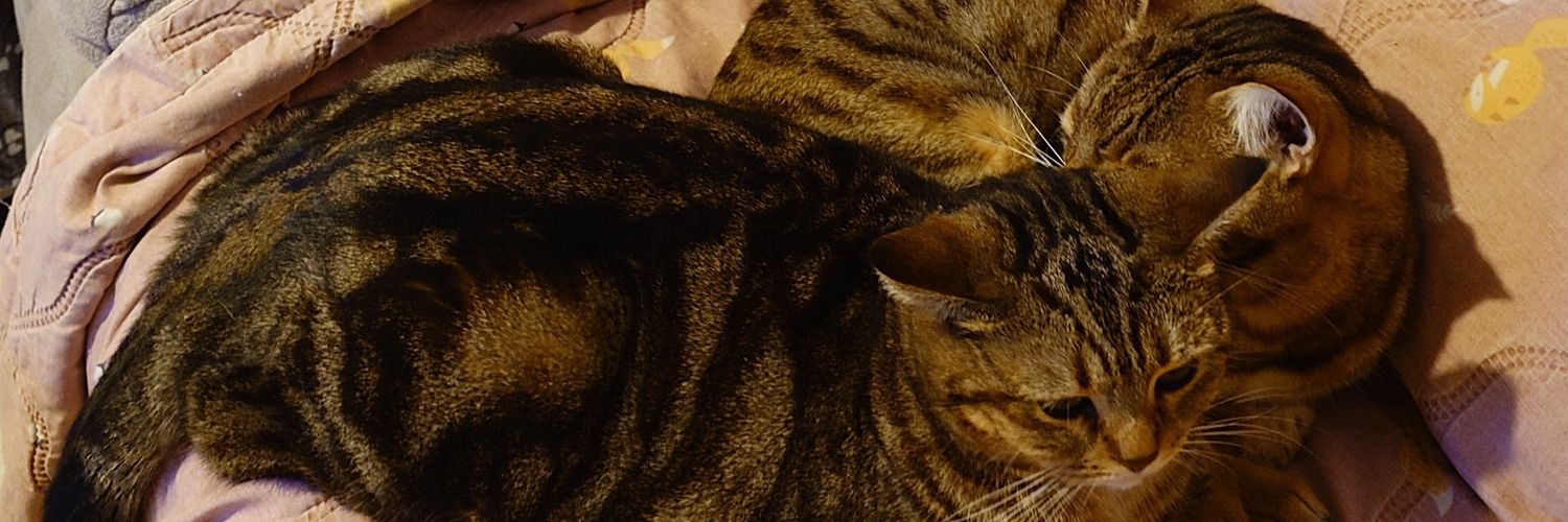 🦊 ιιιмad | вaвυ🦦💗 banner