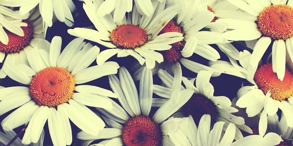 cassiemolde's profile banner image