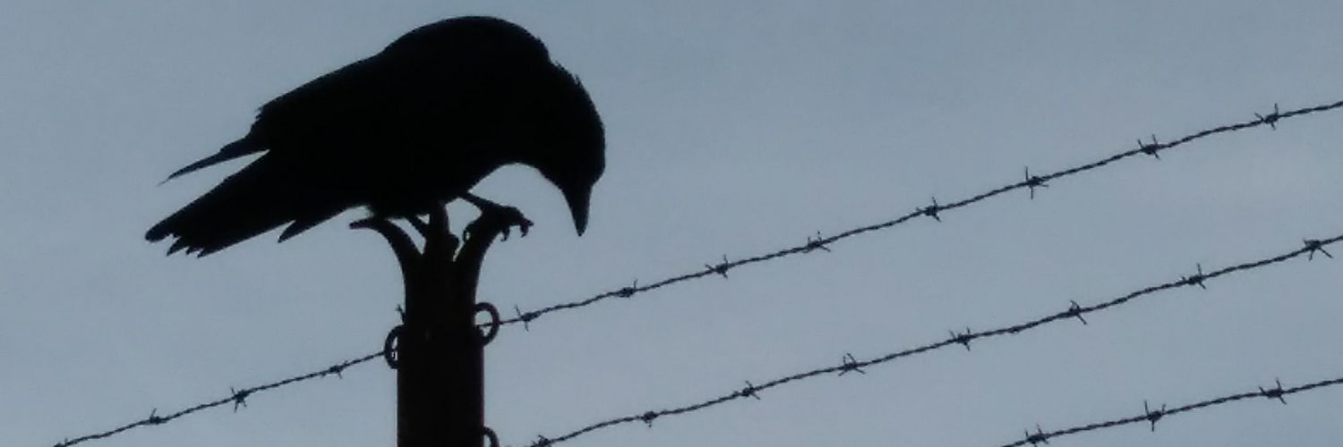 Bizarjen's profile banner image
