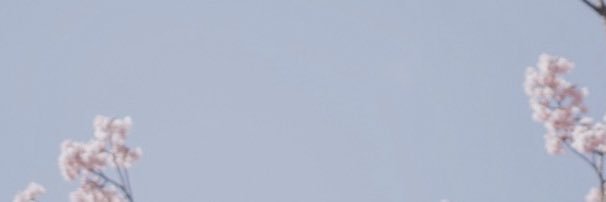 aprilliagvanni's profile banner image