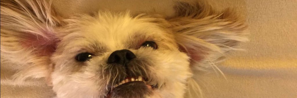 itskattykat's profile banner image