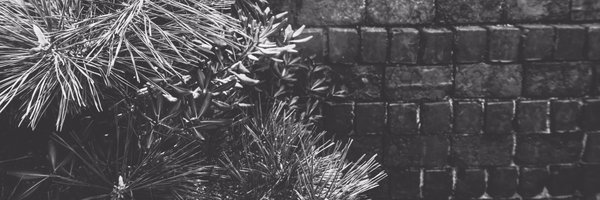 mil Profile Banner