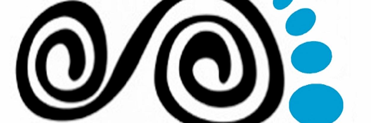 Dr Manel Ballester banner