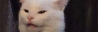 dodeedeedim's profile banner image
