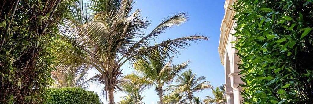 Khaled_Allaham's profile banner image
