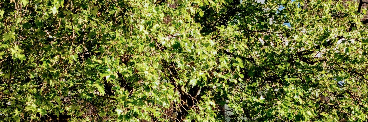 Andik Lukman Hakim banner