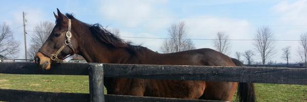 skipaway2000 Profile Banner