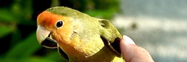 jheitzeb Profile Banner