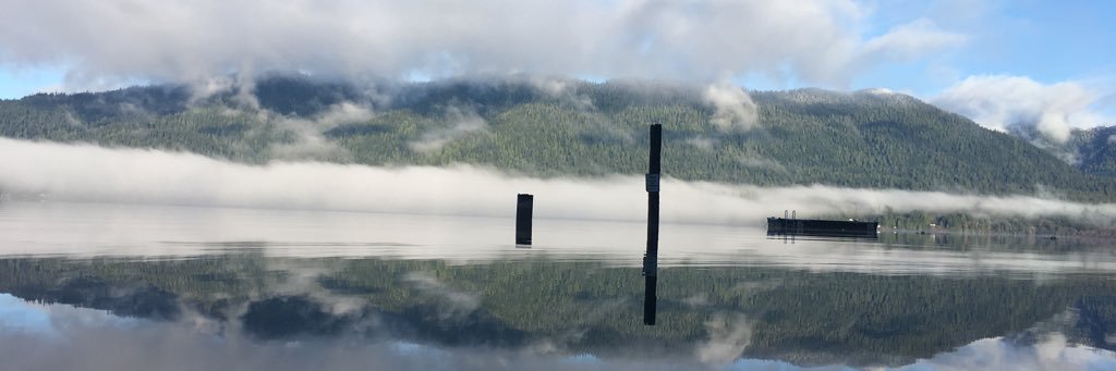 tylorton2's profile banner image