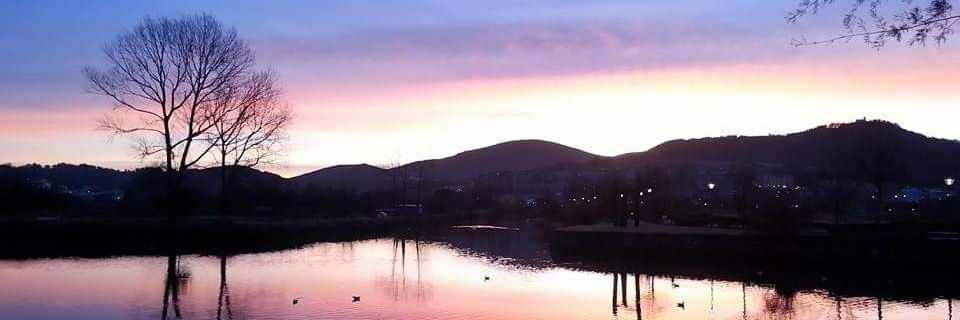 Iñaki Vélez 🌹🔻🌹 banner