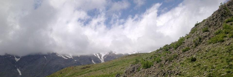 Suncem Koçer banner