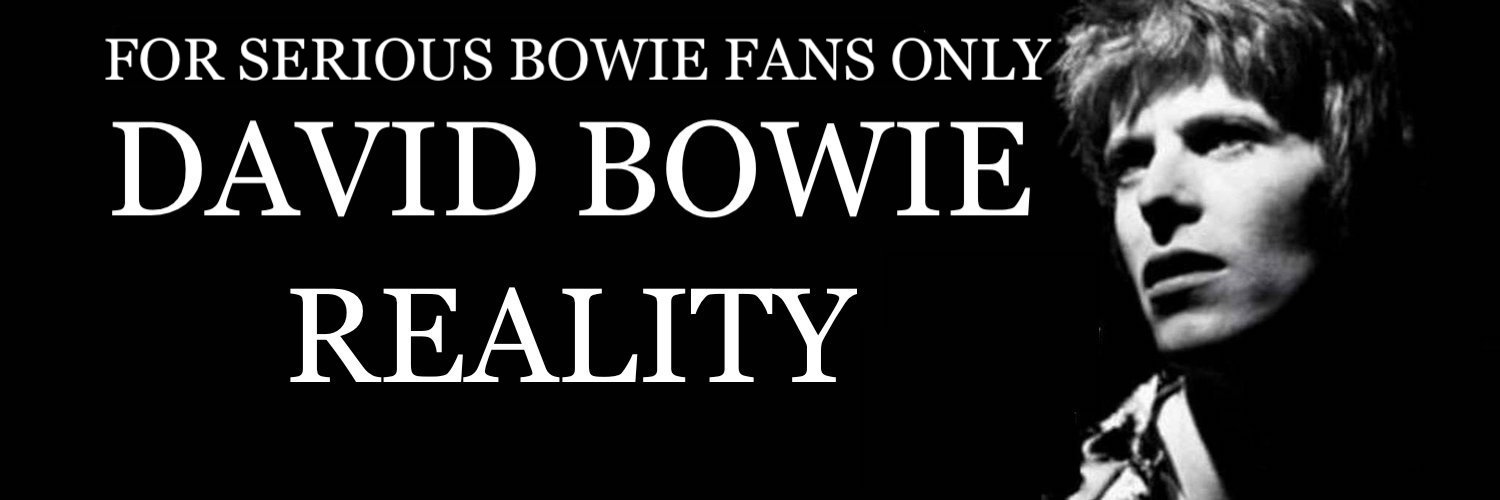 DAVID BOWIE REALITY banner