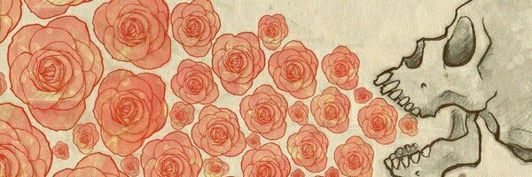 bodoquita's profile banner image