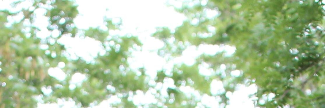 mizkos's profile banner image