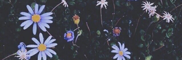 mayangisw's profile banner image