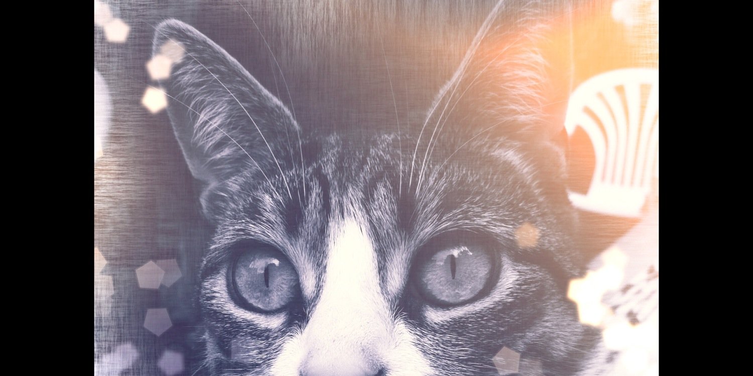 sastuk's profile banner image