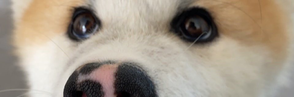 LeslieScipion's profile banner image