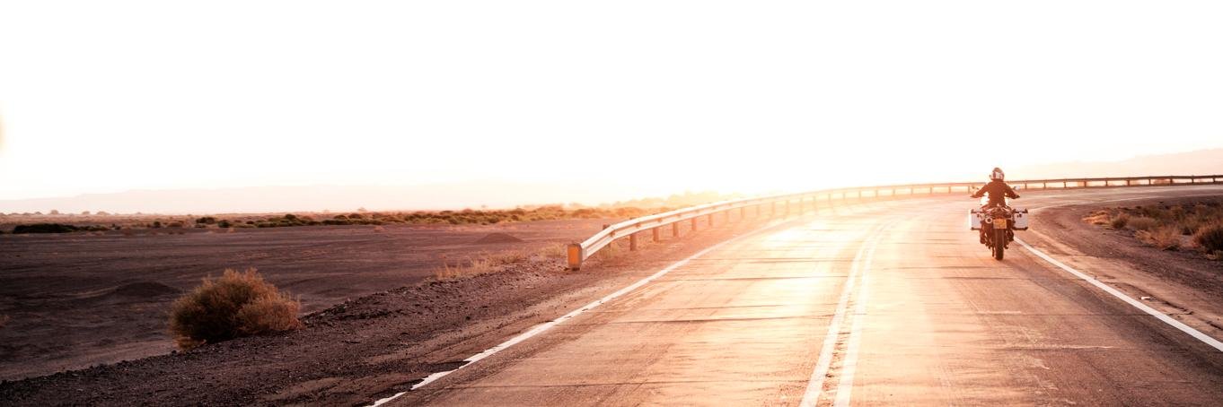 Squash Falconer banner